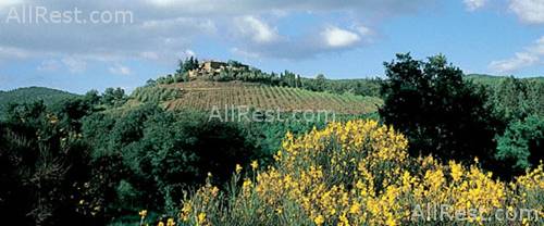 Villa San Michele 33
